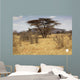 Landscape Savannah Kenya