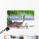 Fish Wall Mural