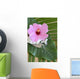 Hibiscus Decor