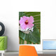 Hibiscus Decor