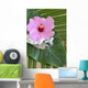 Hibiscus Decor