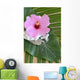 Hibiscus Decor