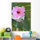 Hibiscus Decor