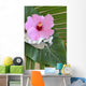 Hibiscus Decor
