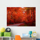 Red fall Wall Mural