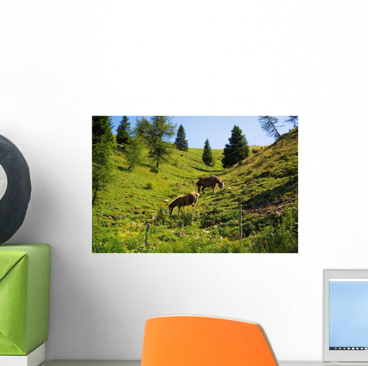 Wild Horses