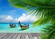Tropical Sea
