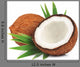 Coconuts with Leaves