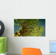 money tree Wall Mural