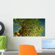 money tree Wall Mural