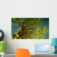 money tree Wall Mural