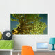 money tree Wall Mural