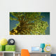 money tree Wall Mural