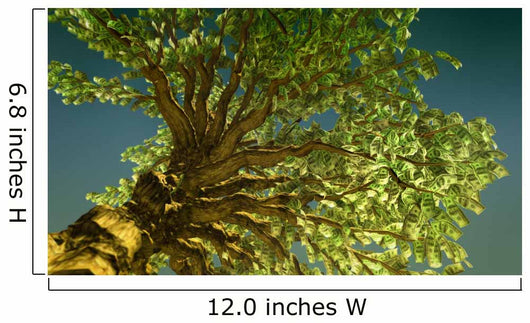 money tree Wall Mural