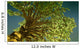 money tree Wall Mural