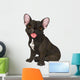Cute  bulldog Wall Decal
