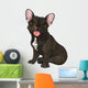 Cute  bulldog Wall Decal