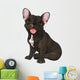 Cute  bulldog Wall Decal