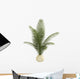 Areca Palm Houseplant