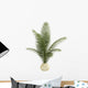 Areca Palm Houseplant