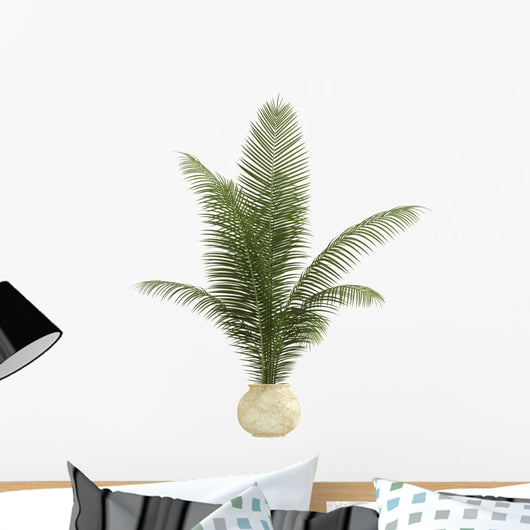 Areca Palm Houseplant