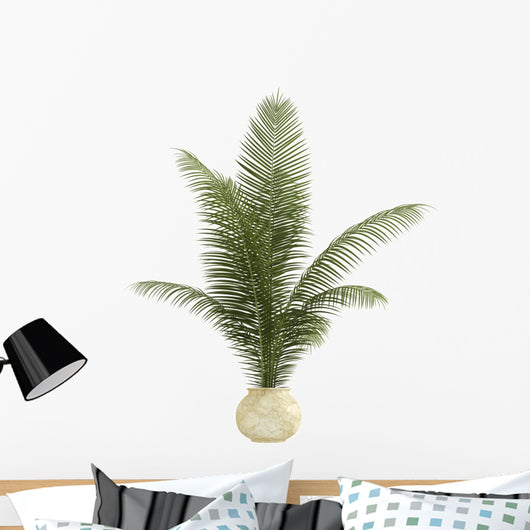 Areca Palm Houseplant