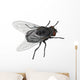 Insect Fly Isolated on White Background. Wall Decal