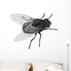 Insect Fly Isolated on White Background. Wall Decal