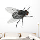Insect Fly Isolated on White Background. Wall Decal