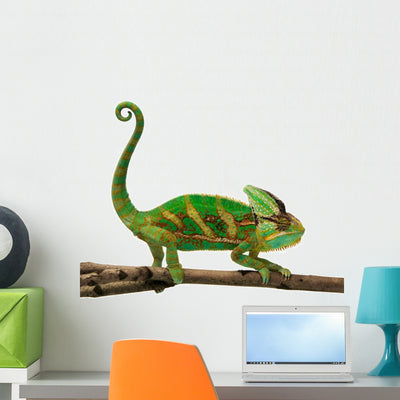 Chameleon Wall Decal shown on a wall