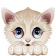 Cute Kitten Cartoon Character-Cat Kitten Puppy-Vector Wall Decal