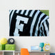 Football Official Wall Mural