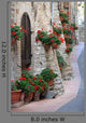 Geranium Flowers Streets Assisi