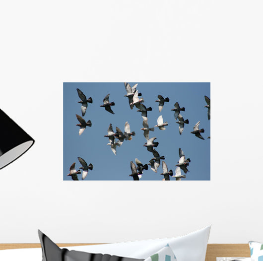fly past Wall Mural