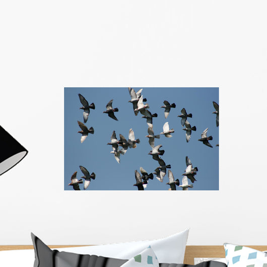fly past Wall Mural