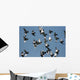 fly past Wall Mural