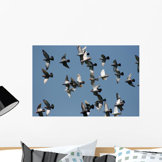 fly past Wall Mural