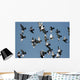 fly past Wall Mural
