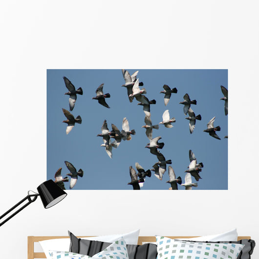fly past Wall Mural