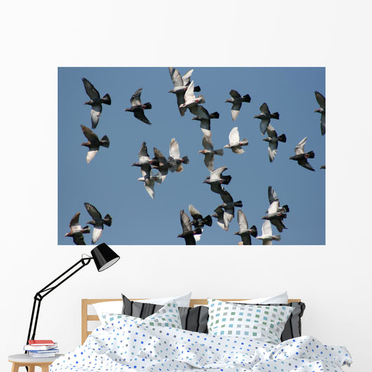 fly past Wall Mural