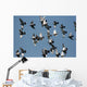 fly past Wall Mural