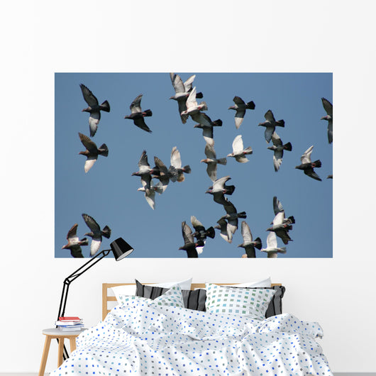 fly past Wall Mural