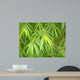 Bamboo Foilage Wall Mural