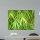 Bamboo Foilage Wall Mural