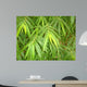 Bamboo Foilage Wall Mural