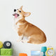 Corgi Dog in Studio Wall Decal