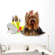 Beautifully Groomed Yorkshire Terrier Wall Decal
