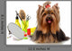 Beautifully Groomed Yorkshire Terrier Wall Decal
