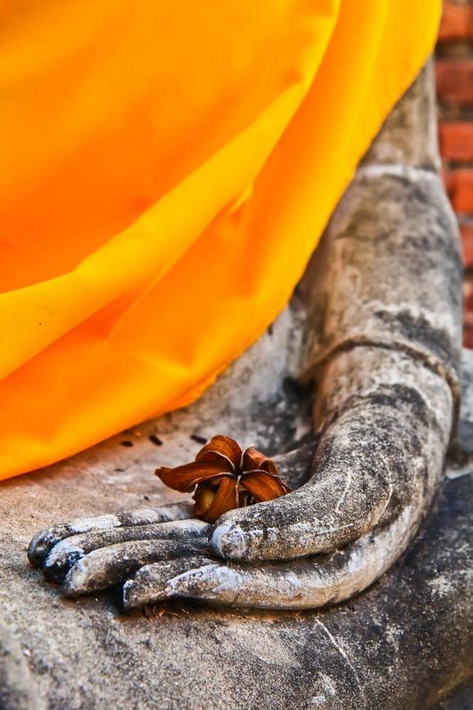 Buddha Hand Buddhism