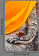 Buddha Hand Buddhism